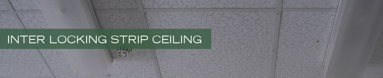 Inter Locking strip ceiling