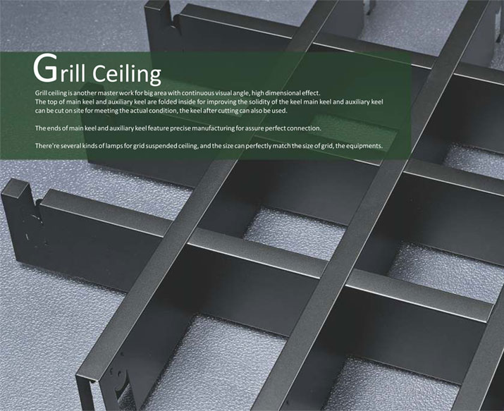 Grill Ceiling 