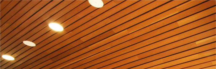 Wood Finish Ceiling System 